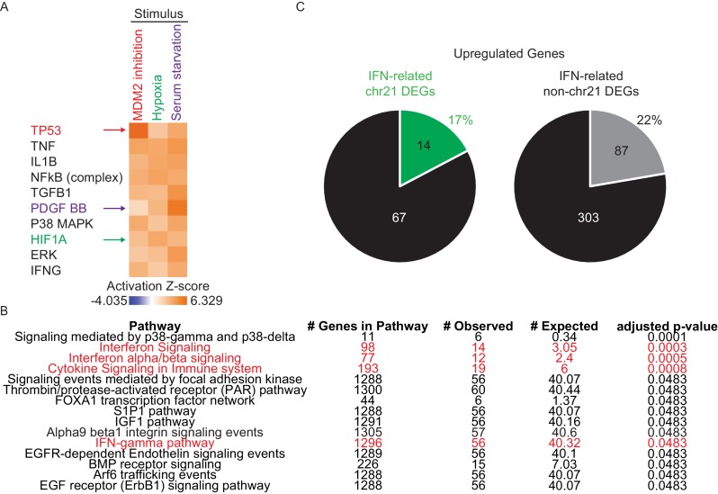 Figure 2—figure supplement 1.