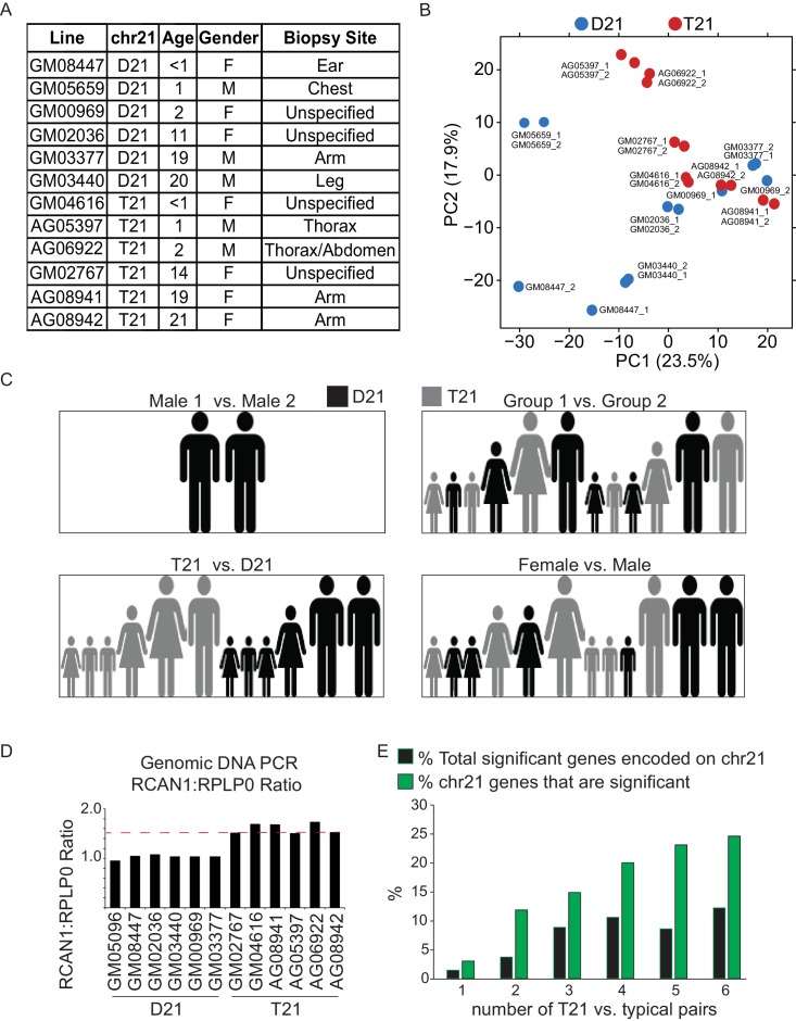 Figure 1—figure supplement 1.