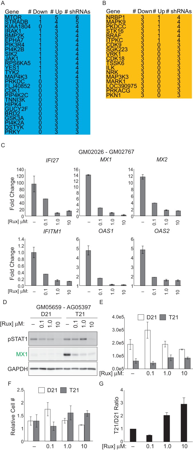 Figure 4—figure supplement 1.