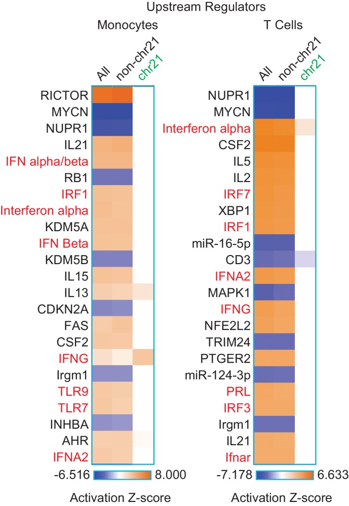 Figure 6—figure supplement 3.