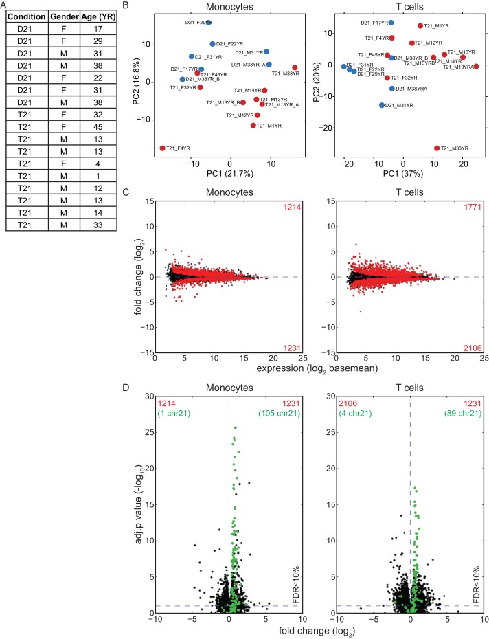 Figure 6—figure supplement 1.