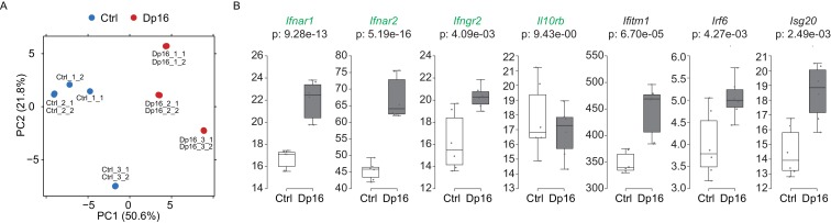 Figure 5—figure supplement 3.