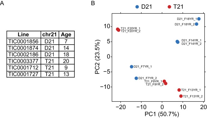 Figure 5—figure supplement 1.