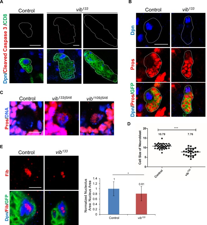 Figure 1—figure supplement 2.