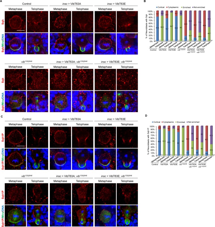 Figure 4—figure supplement 3.