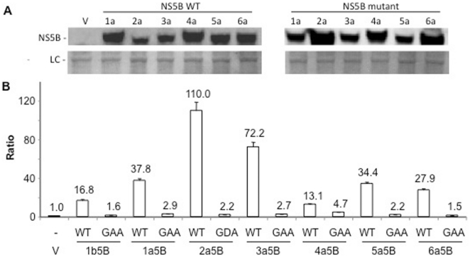 Figure 9