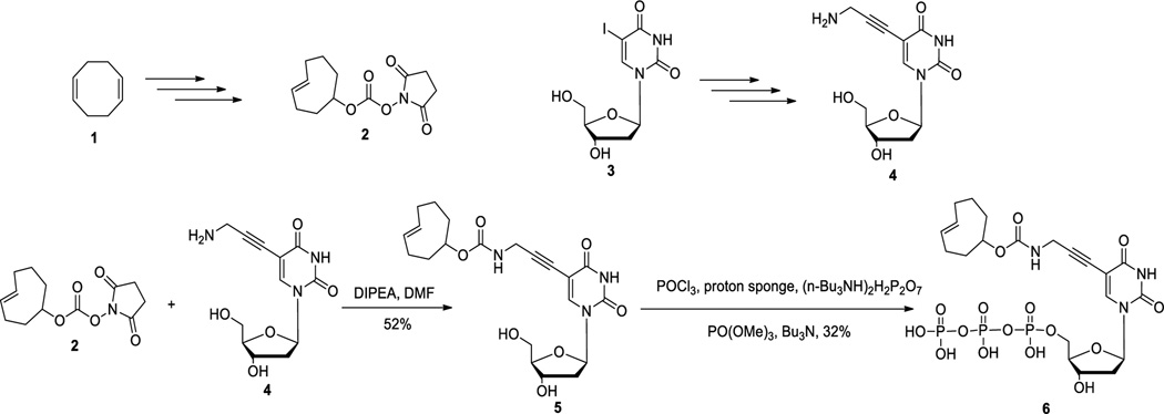 Scheme 2