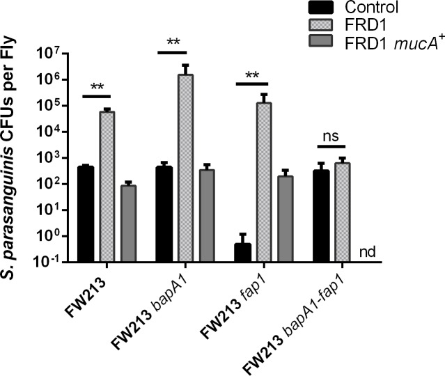 Fig 7