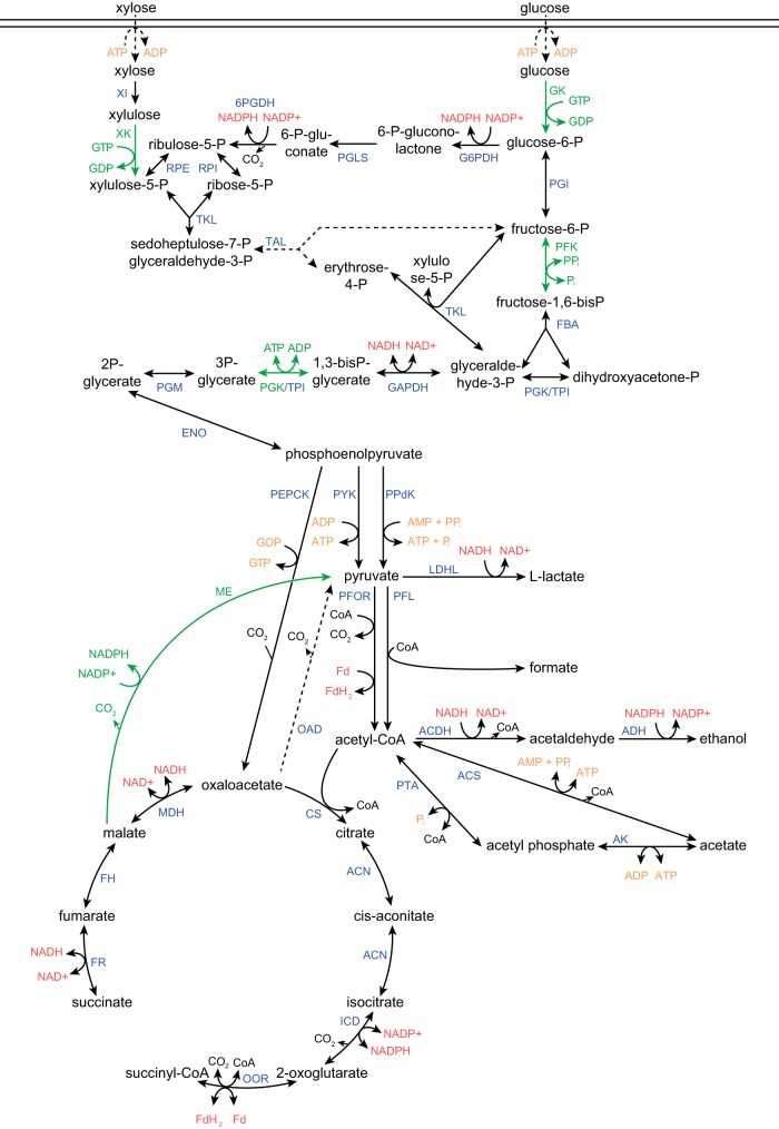 FIG 2