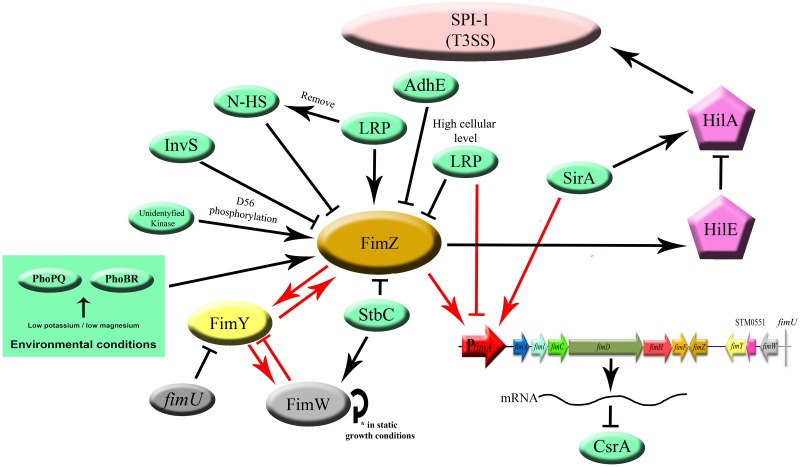 FIGURE 2