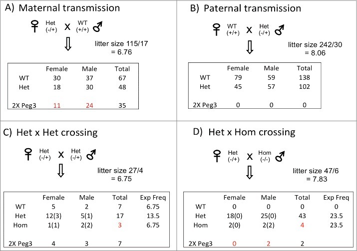 Figure 5.