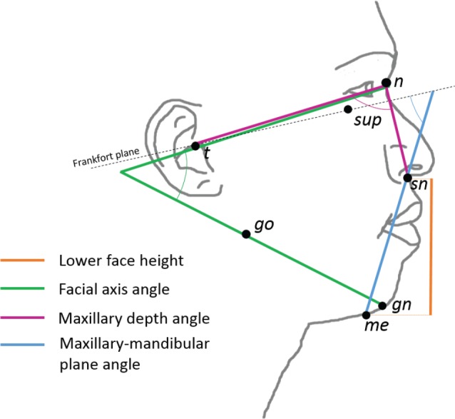 Figure 2