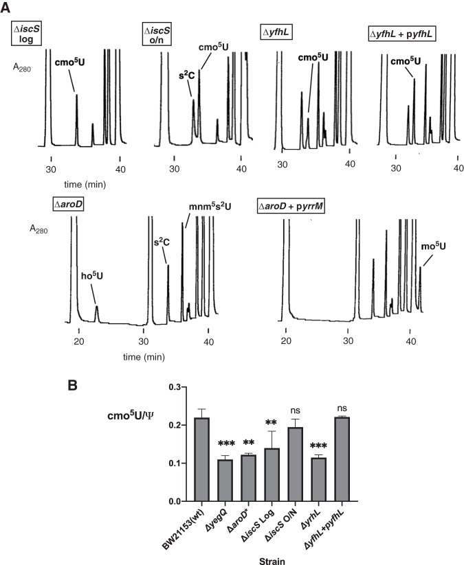 FIG 5