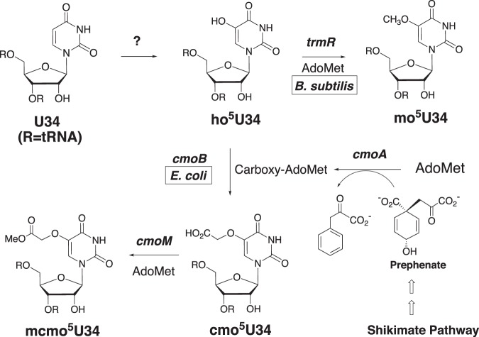 FIG 1