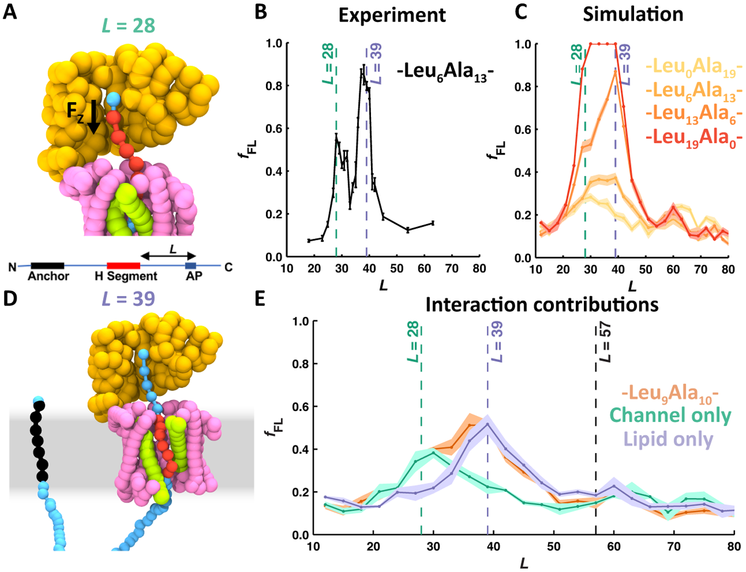 Figure 6: