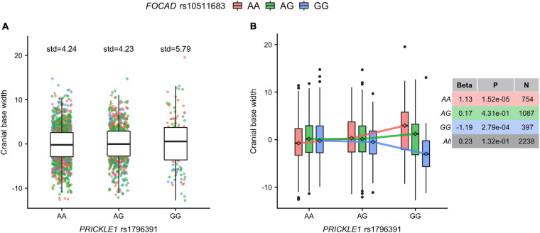 FIGURE 3