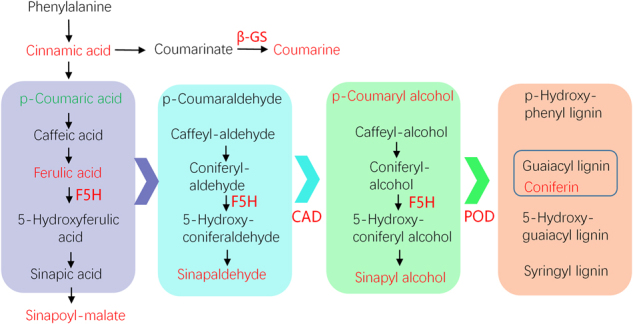 Fig. 4