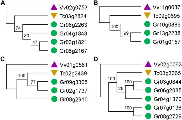 FIGURE 2