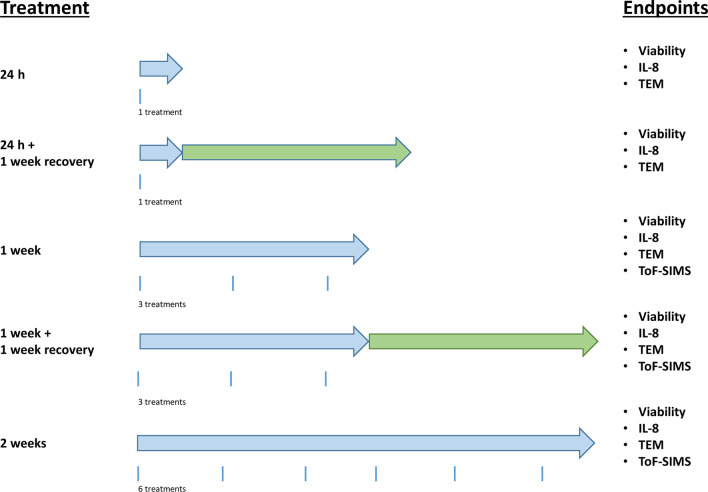 Fig. 10