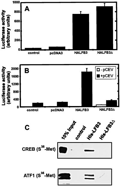 FIG. 9