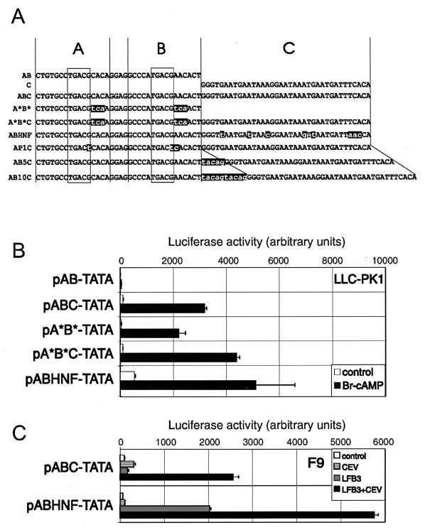 FIG. 1