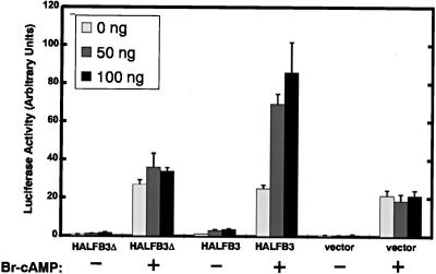 FIG. 8