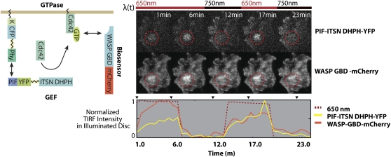 Figure 2.