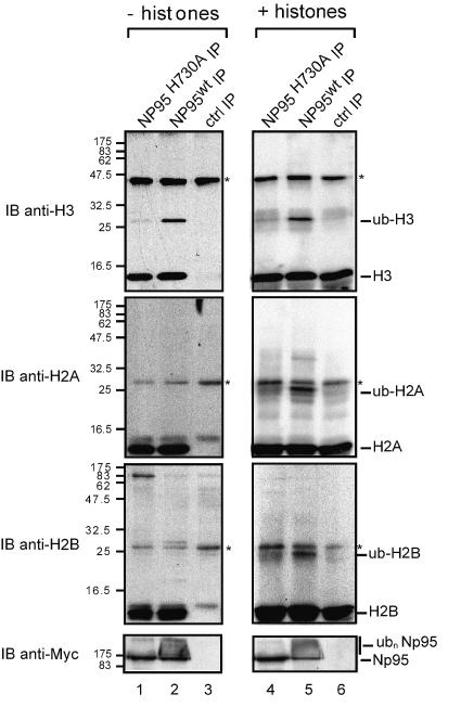 FIG. 7.