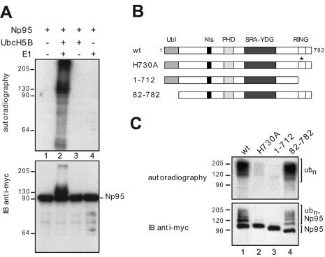 FIG. 5.