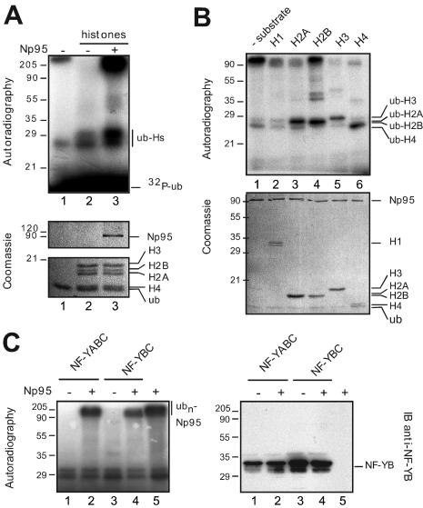 FIG. 6.