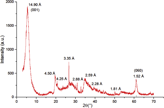 Figure 1