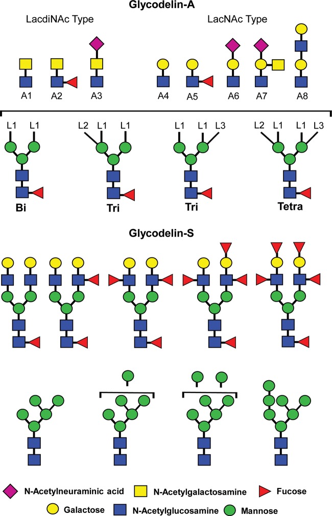 Figure 5