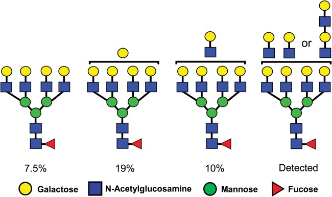 Figure 7