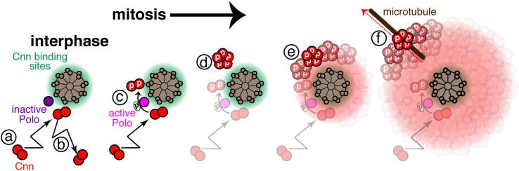 Figure 6