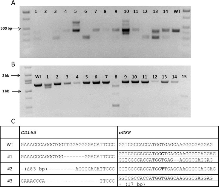 FIG. 4