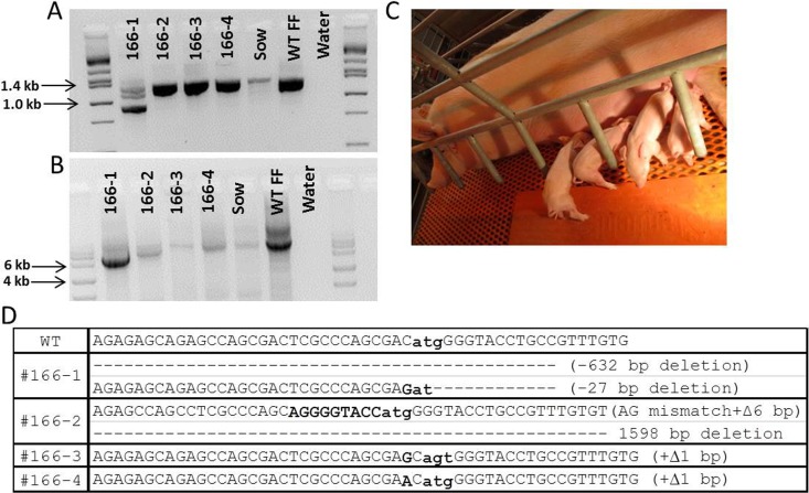 FIG. 6