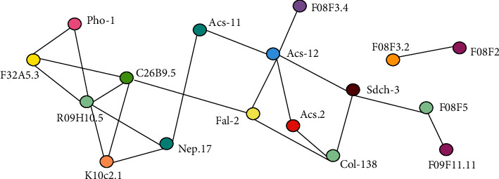 Figure 5