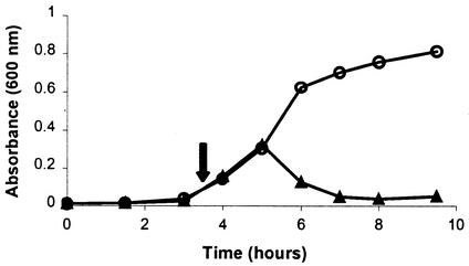 FIG. 1.