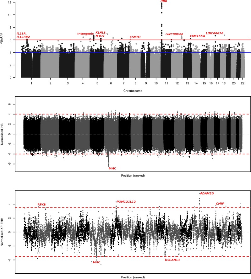 Fig 1