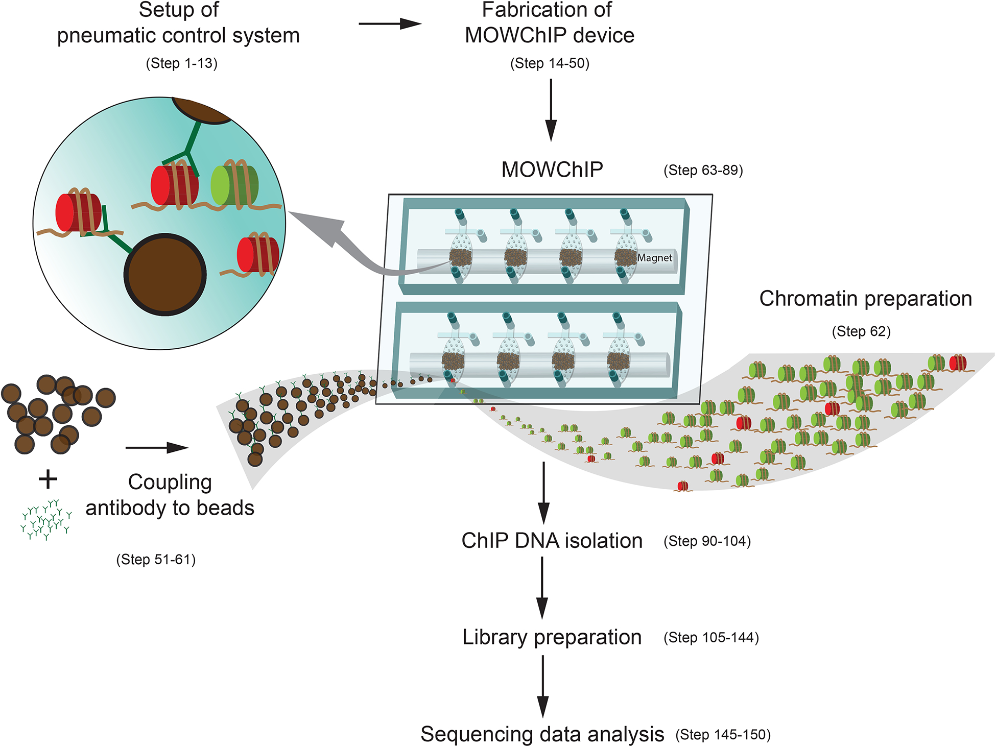 Figure 1 |