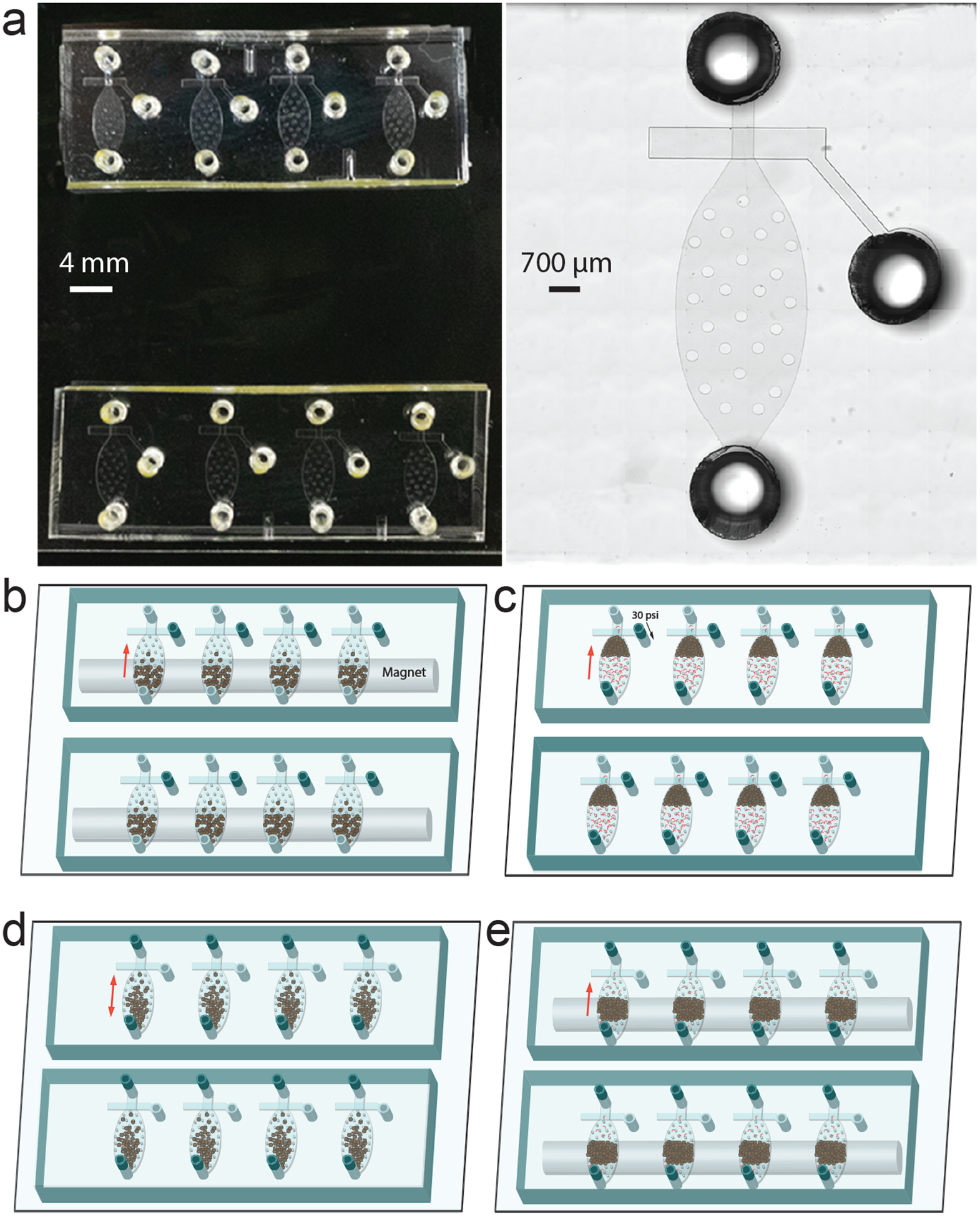 Figure 4 |