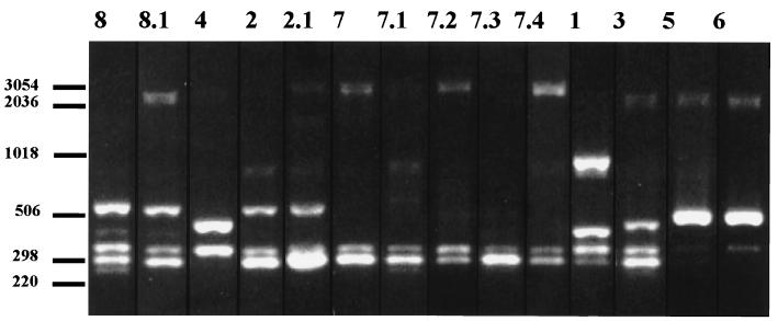 FIG. 3