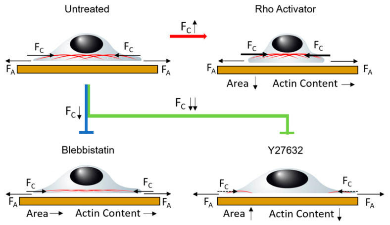 Figure 8