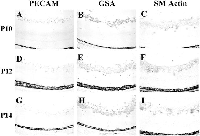 Figure 9.