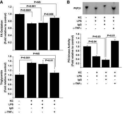 FIG. 8.