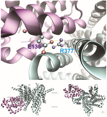 Figure EV3