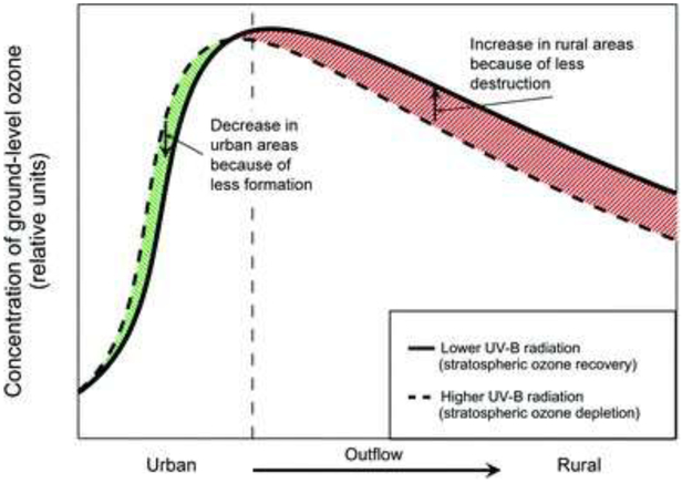 Fig. 12