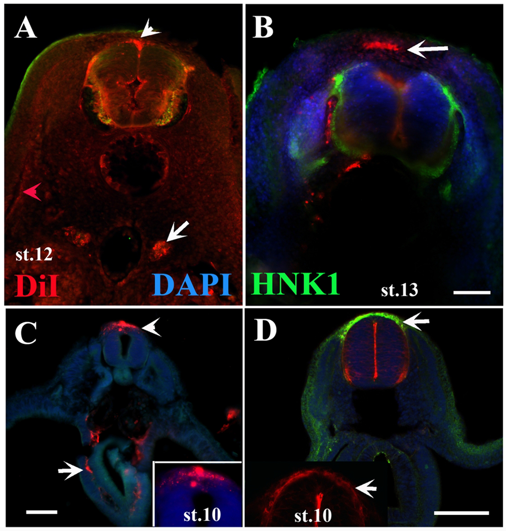 Figure 6.