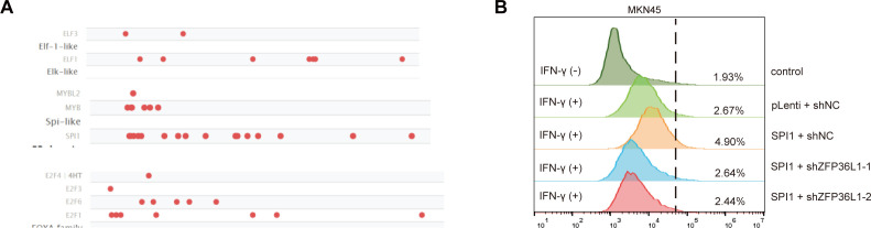 Figure 4—figure supplement 1.