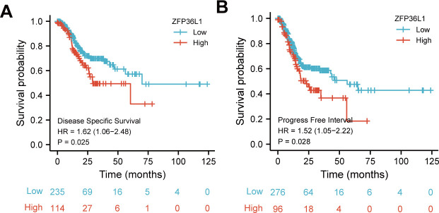 Figure 2—figure supplement 1.